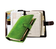 Green Croco-Grain Snap Closure Planner